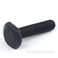 Grad 12,9 schwaarz Oxide Coating T-Bolt